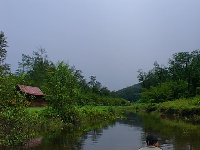 ouanary